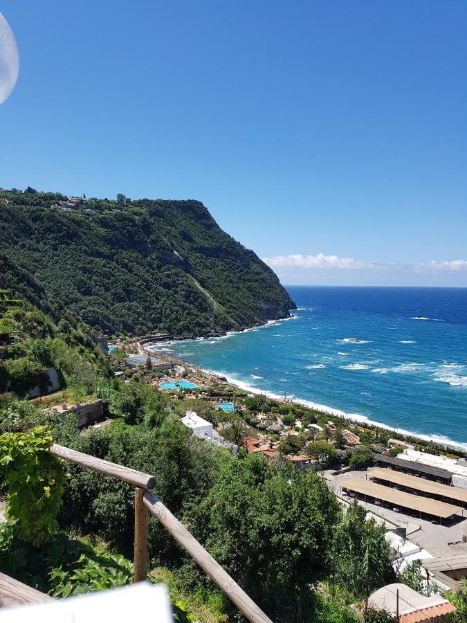Appartamenti Su Piazza Matteotti Forio Centralissimi 外观 照片